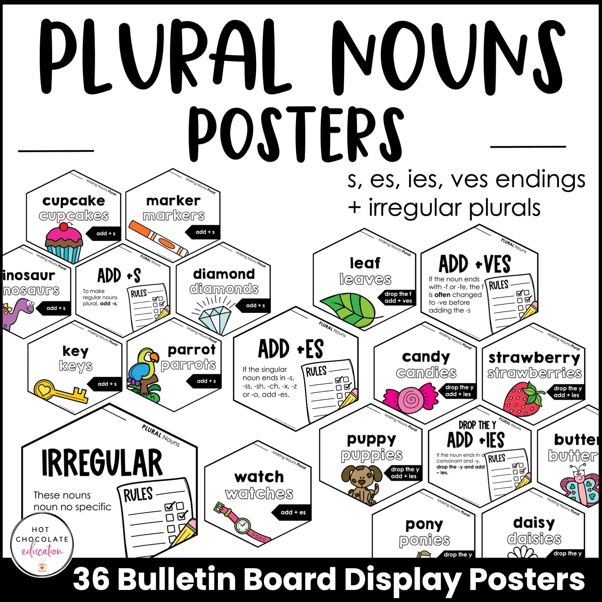 Plural Noun Spelling Rules Posters -Bulletin Board - s, es, ies, ves & Irregular - Hot Chocolate Teachables